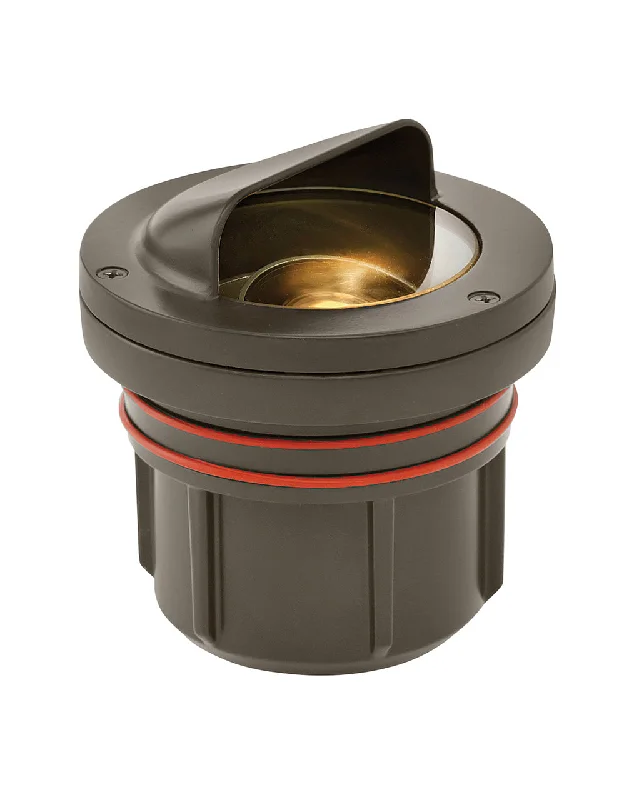 Recessed lights for eco - friendly homes with sustainable materialsVariable Output Shielded LED Well Light