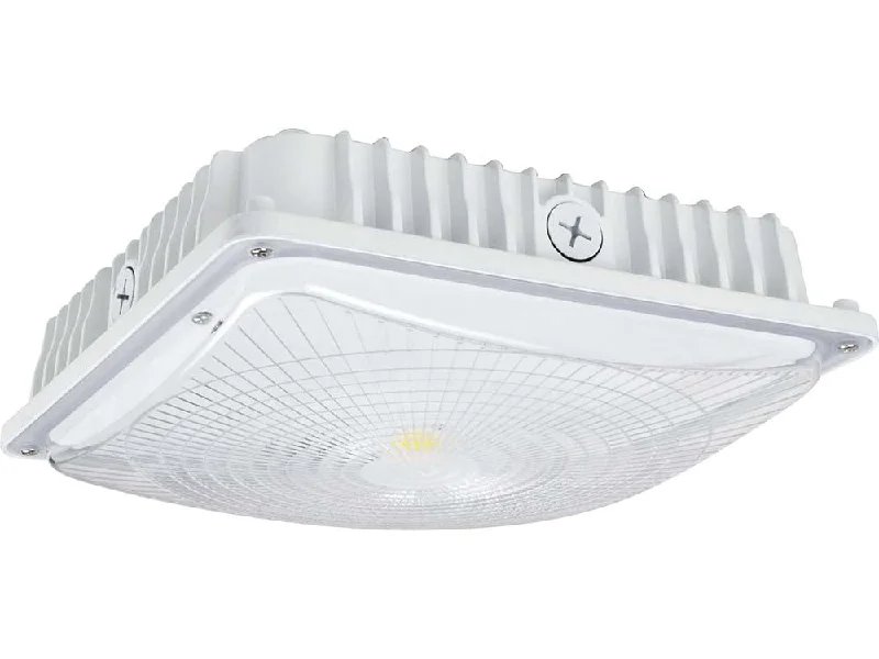 Recessed lights for retail store display areasLED Slim Canopy Light, 3640 Lumens, 28W, 4000K or 5000K, 120-277V, White