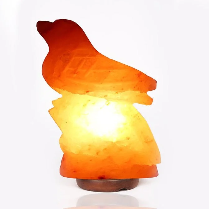 Pink Himalayan Salt Lamps for a Soothing HueHimalayan Salt Bird Sitting on a Rock Lamp Pink Himalayan Salt Lamps for a Soothing HueHimalayan Salt Bird Sitting on a Rock Lamp
