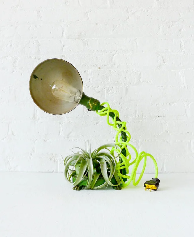 Lava Lamps for Graduation Party Venues to Make it More Memorable30% SALE Oh My Lamp! Vintage Industrial Gooseneck with Neon Textile Cord and Live Air Plant Lava Lamps for Graduation Party Venues to Make it More Memorable30% SALE Oh My Lamp! Vintage Industrial Gooseneck with Neon Textile Cord and Live Air Plant