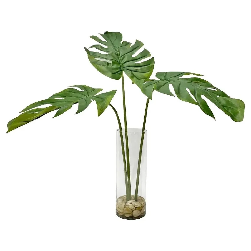 Ibero Leaf Palm