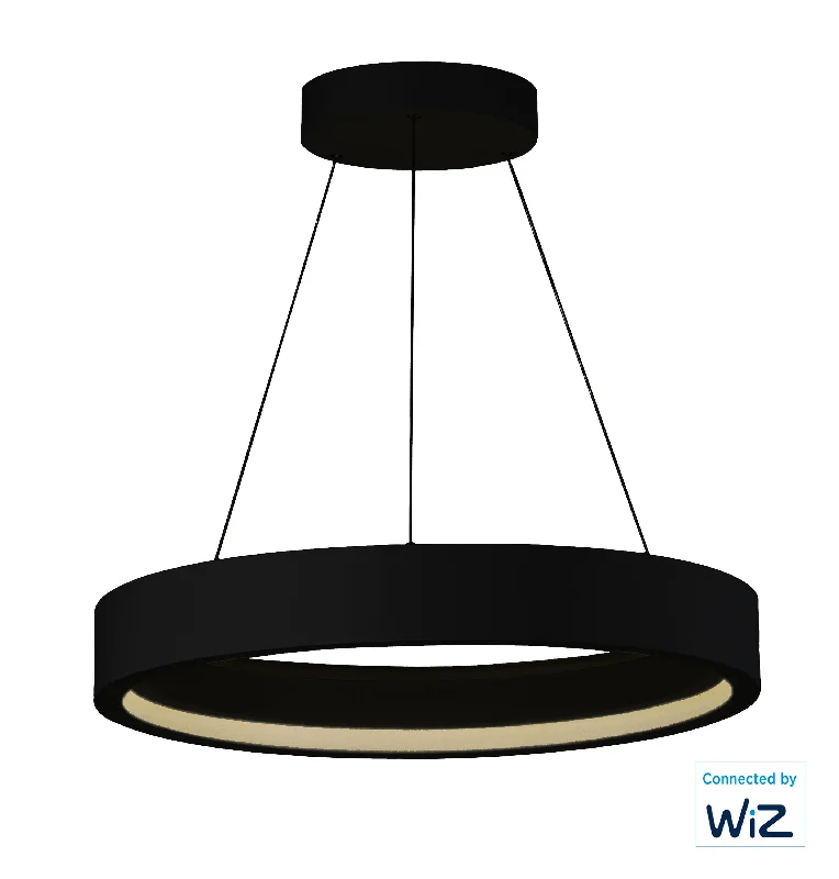 Recessed lights for closets to make finding items easieriCorona WiZ 28" LED Round Pendant RGBW Y Smart Light, 3500 Lumens, 50W, 120-277V, Black Finish Recessed lights for closets to make finding items easieriCorona WiZ 28" LED Round Pendant RGBW Y Smart Light, 3500 Lumens, 50W, 120-277V, Black Finish