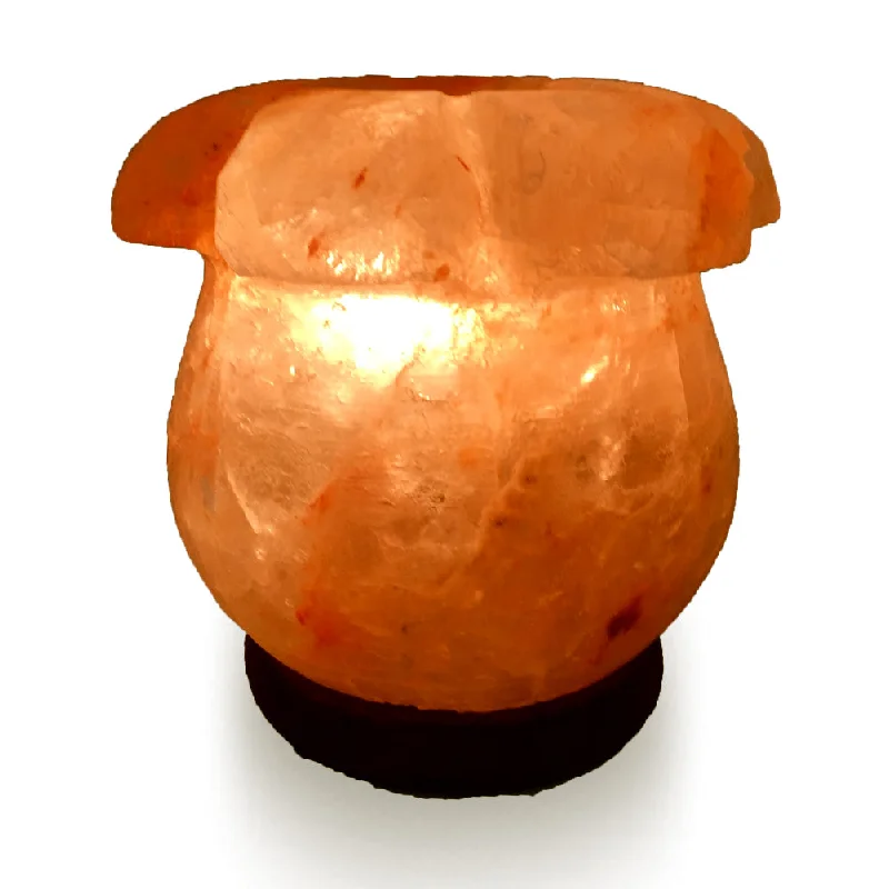 Salt Lamps for Game Rooms to Add a Unique ElementNatural Himalayan Lilly Flower Shape Salt Lamp