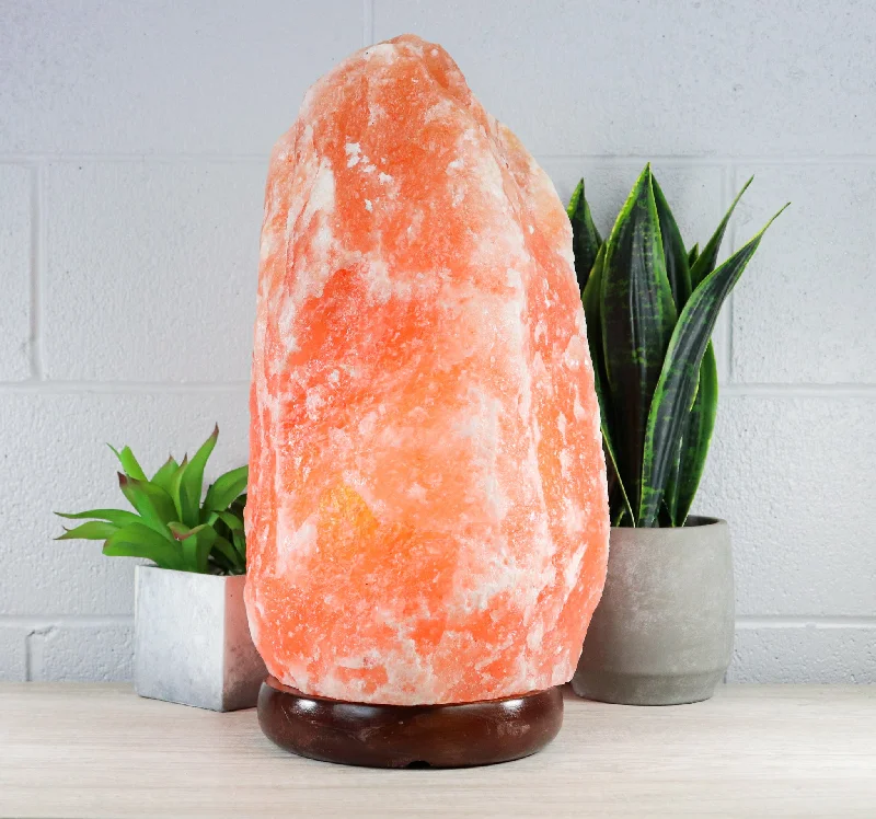 Salt Lamps for Pet - Friendly EnvironmentsNatural Pink Himalayan Salt Lamp 66-88 Lbs Salt Lamps for Pet - Friendly EnvironmentsNatural Pink Himalayan Salt Lamp 66-88 Lbs