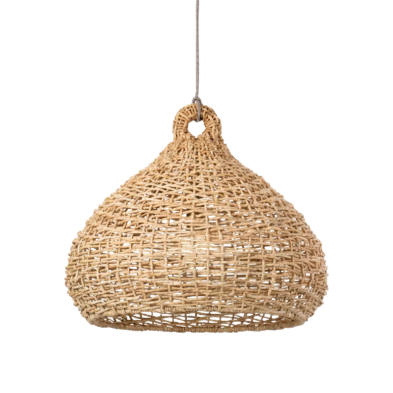 Art Nouveau Ceiling Lights with Organic, Flowing ShapesLechlan Pendant