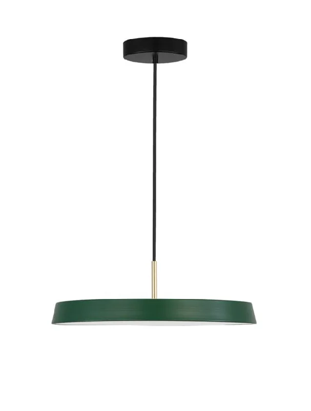 Industrial Style Ceiling Lights with Exposed Bulbs and Metal CagesVET Matt Green Aluminium & Acrylic Single Pendant - ID 9996 Industrial Style Ceiling Lights with Exposed Bulbs and Metal CagesVET Matt Green Aluminium & Acrylic Single Pendant - ID 9996